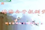 憨憨公子扳倒爹 全集下载