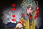 大保国 1
