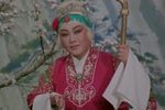 对花枪下载