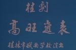 高旺进表