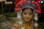 薛丁山救五美 16下载