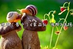 李亚仙游院