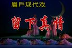 留下真情 全集