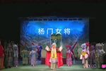 杨门女将 选段