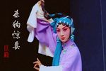 杀狗惊妻下载