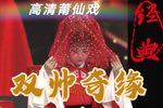 双帅奇缘 全集下载
