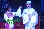 龙女弄下载