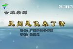 凤阁恩仇未了情