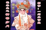 花木兰之柳营步月