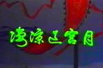 凄凉辽宫月 全集
