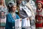 攀龙附凤 3