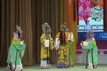 打金枝 下集下载