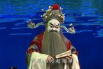 游西湖