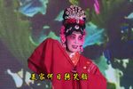 站花墙 选段