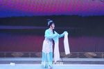 梨花情 全集下载