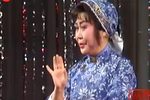 苏皖沪锡剧交流演唱会1