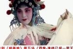 柳燕娘第五场