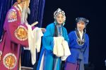 天要落雨娘要嫁痛别离 选段