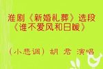 新婚礼葬 谁不爱风和日暖 选段
