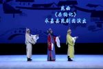 杀狗记 全集