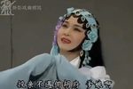 碧桃花拷打 选段