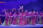 白蛇传 全集下载