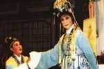 玉蜻蜓 拒子 认子下载