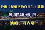 屋檐下的白玉兰 选段