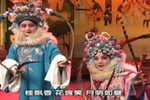 杨八姐闯幽州 选段