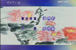 富贵图 全集