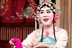 姊妹易嫁 选段