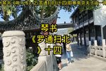 罗通扫北 十四