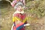 三请樊梨花 第八集下载