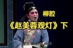 赵美蓉观灯 下集下载