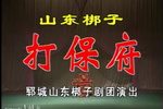 打保府 全集下载