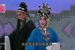 南京 好不气坏胡兰英  选段