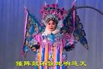 黑景芝又名响马传下载