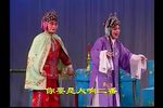 大闹桃花店下载