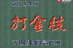 打金枝 全集下载