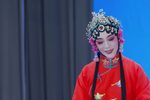 小借年下载