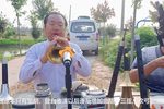 河南曲剧 选段下载
