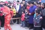 百鸟朝凤下载