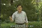 小八义下载