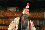 无佞府 选段