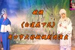 白莲花下凡 全集