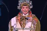 杨门女将 选段