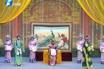 无佞府 全集下载