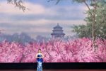 珍妃泪/啼笑姻缘 选段