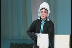 东京 赵美容观灯全剧