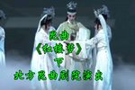 红楼梦 下集